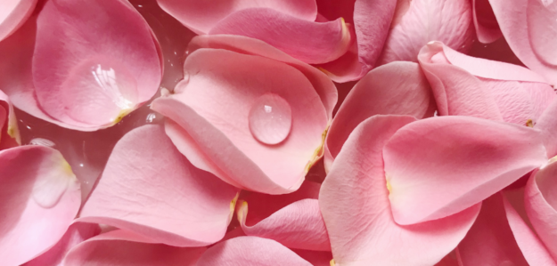 pureLUX Aesthetics
