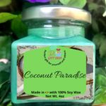 4oz Coconut Paradise Scented Candle