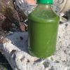 KSN Blood-Brain Booster 8oz