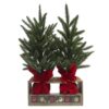 Decorative Christmas Trees Set 2 Units