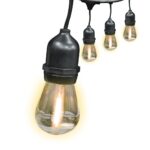 LED Bulbs 24 Units